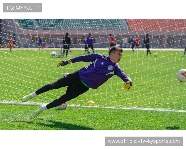 国足球员训练成果持续提高，国足球员能力值